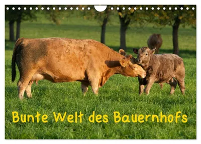 Produktbild von Bunte Welt des Bauernhofs (Wandkalender 2027 DIN A4 quer), CALVENDO Monatskalender