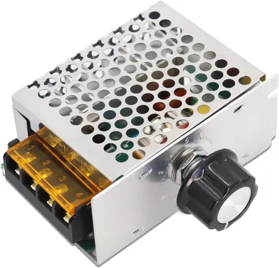 SCR Spannungsregler 4000 W AC 220 V stufenlos 10-220 V