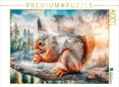 Produktbild von CALVENDO Puzzle Eichhörnchen | 1000 Teile Lege-Größe 64x48cm Foto-Puzzle für glückliche Stunden
