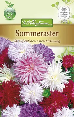 Produktbild von Sommeraster Straußenfeder | Asternsamen von N.L. Chrestensen