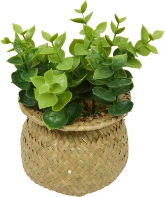 Produktbild von Künstliche topfpflanze jil 10x10cm - Atmosphera créateur d'intérieur