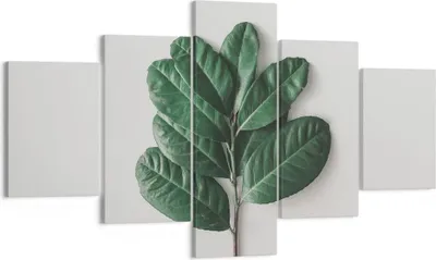 Produktbild von Bild auf Leinwand - Leinwandbild - 5 Teile - Blätter Pflanzen Botanik - 125x70cm - Wand Bild - Wanddeko - Wandbilder - Leinwanddruck - Bilder - Wanddekoration - Leinwand bilder - EA125x70-4956
