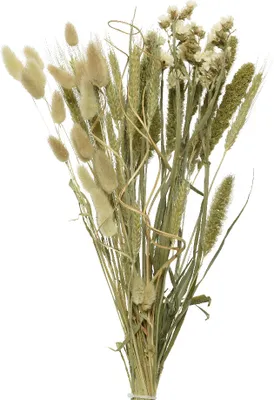 Produktbild von Suszone kwiaty Bukiet kwiatów i traw mieszanka 45cm naturalna zieleń 1 pęczek