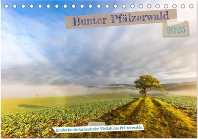 Produktbild von Bunter Pfälzerwald (Tischkalender 2025 DIN A5 quer), CALVENDO Monatskalender