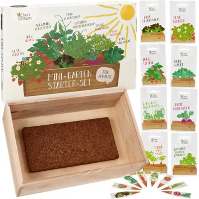 Produktbild von Samen Anzuchtset mit Holzbox und 8 Pflanzenarten Samen Kinder Anzuchtset - Kinderset