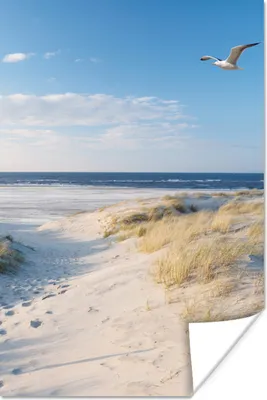 Produktbild von MuchoWow® Poster Düne - Möwe - Strand - Meer - Sonne 60x90 cm - Wanddekoration