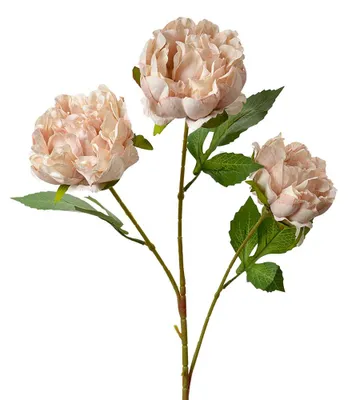 Produktbild von Clayre & Eef Kunstblume 80 cm Rosa Kunststoff