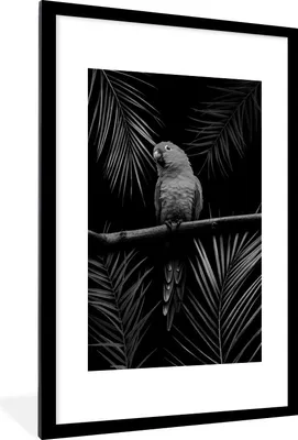 Produktbild von MuchoWow® Gerahmtes Poster Vogel auf schwarzem Hintergrund - schwarz und weiß 60x90 cm - Poster mit Schwarzem Bilderrahmen Wandposter Rahmen Foto Bilder - Dekoration - Wandposter Wohnzimmer - Hochwertig