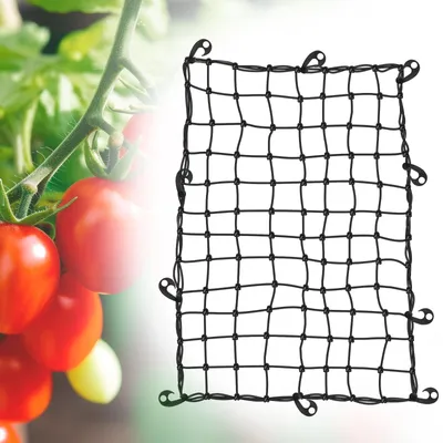 Image de Solidchoice - Support pour plantes, filet élastique pour plantes, légumes et fleurs