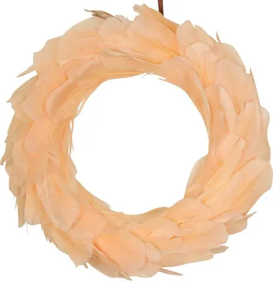 Produktbild von Türkranz Federkranz zum Aufhängen, Frühlingsdeko, Wandkranz in Pastell Orange Ø20cm, 3er Set, 3 Stück