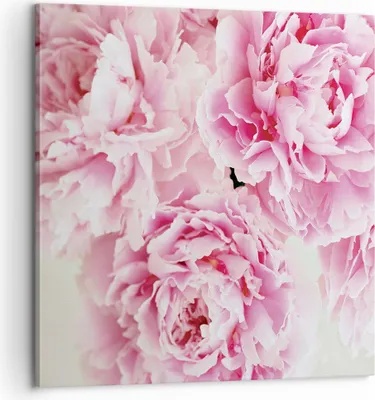 Produktbild von Bild auf Leinwand - Leinwandbild - Einteilig - Pfingstrosen Blumenstrauß Blumen - 60x60cm - Wand Bild - Wanddeko - Wandbilder - Leinwanddruck - Bilder - Wanddekoration - Leinwand bilder - AC60x60-4961