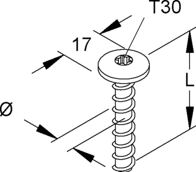 Obrázok produktu pre Kleinhuis skrutkový kotvový hmoždinka E00, plochá hlava veľká, Ø 6 mm, dĺžka 50 mm, Torx T30, 1 ks.