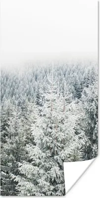 Produktbild von MuchoWow® Poster Wald - Schnee - Winter - Jahreszeiten - Tannenbaum 20x40 cm - Plakat - Foto