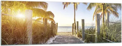 Produktbild von Bilder auf glas - Einteilig - Strand Palmen Fußgängerbrücke - 160x50cm - Glasbilder - Wandbilder - Bilder - Wanddekoration aus Glas - Glas Bilder - Wandbild auf Glas - GAB160x50-4171