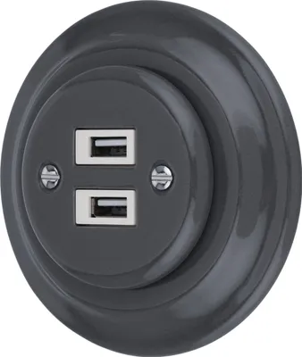 Image de Prise USB rétro encastrée 2 fois I PR1 gris foncé