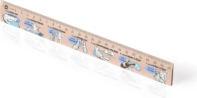 Obrázek produktu pro Metrie | Didakt-M07, Dřevěné pravítko s potiskem | Mluvnické pády | 25 cm