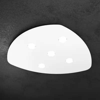 Image de Forme Métal Moderne Plafonnier Blanc 5 Lumières Gx53