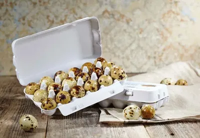 Produktbild von 12 Stück Delikatess Wachteleier Wachtelspeiseeier