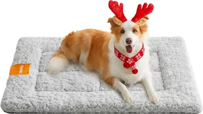 Immagine prodotto di Cane Gatto Coperta antiscivolo lavabile 90X65 Cm Tortora