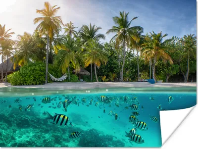 Produktbild von MuchoWow® Poster Strand - Meer - Fisch - Insel 80x60 cm - Kunst für zu Hause