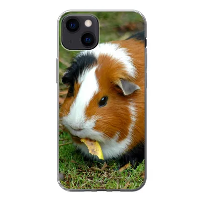 Produktbild von MuchoWow® Handyhülle Schutzhülle Hülle für iPhone 13 Meerschweinchen draußen Silikon Softcase Handy Hülle - Karteninhaber