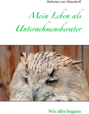 Produktbild von Mein Leben als Unternehmensberater