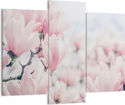Produktbild von Bild auf Leinwand - Leinwandbild - 3 Teile - Magnolie Blumen Rosa - 130x100cm - Wand Bild - Wanddeko - Wandbilder - Leinwanddruck - Bilder - Wanddekoration - Leinwand bilder - CB130x100-4396