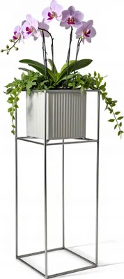 Produktbild von FRAMADO, Pflanzenständer Filo, Metallregal, Blumenständer, 24x24x60cm, Silber
