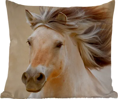 Produktbild von MuchoWow® Outdoor Kissen - Pferde - Tiere - Mähne - Porträt - 40x40 cm - Wetterfest - Lounge Kissen - Kopfkissen - Interieur - Polster mit Bild