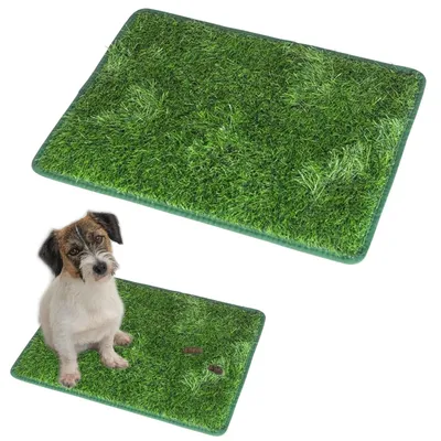 Immagine prodotto di Set di 2 tappetini per cani in erba sintetica - Verde