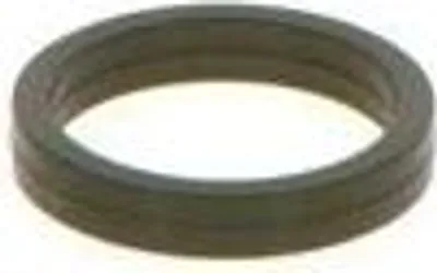 Immagine prodotto di Anello Di Tenuta