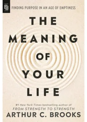 Immagine prodotto di The Meaning of Your Life