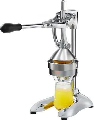 Produktbild von Famanu Handliche Saftpresse mit ergonomischem Griff - Edelstahl