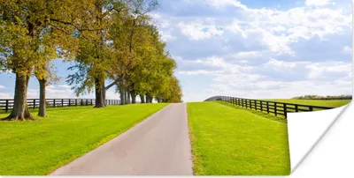 Produktbild von MuchoWow® Poster Wolken - Bäume - Straße 40x20 cm - Poster für die Wand - Poster Schlafzimmer