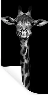 Produktbild von MuchoWow® Wandtattoo Wandsticker Wandaufkleber Giraffe - Porträt - Tiere - Schwarz - Weiß 20x40 cm Selbstklebend und Repositionierbar - Selbstklebend - Fototapeten