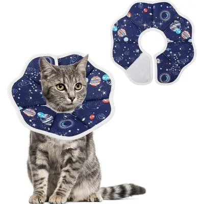 Produktbild von Katzenhalsstütze, verstellbarer weicher Kragen, geeignet für Welpen und Erwachsene, komfortables und atmungsaktives Schwammmaterial, niedliches Design