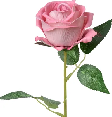 Immagine prodotto di Fiore artificiale Clayre & Eef Rosa 50 cm plastica rosa