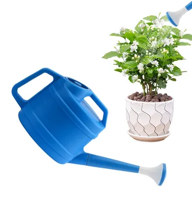 Image de Arrosoir léger pour plantes avec pomme de douche amovible