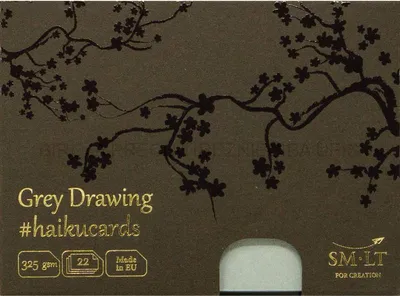 Immagine prodotto di SMLT Carte haiku pittura grigio A6 325gr 22 fogli cartoncino