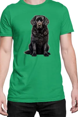 Immagine prodotto di Maglietta da uomo Dogs Breeds Newfoundland Dog Breed 006, Man M , Vert