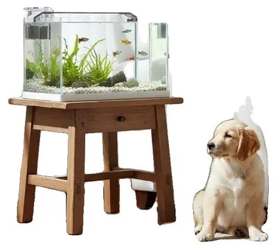 Produktbild von Kleines Aquarium, LED-Beleuchtung, Filtersystem, 38 x 26 x 27 cm