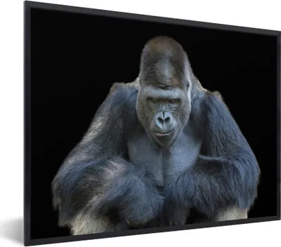 Produktbild von MuchoWow® MuchoWow® Gerahmtes Poster Ein Gorilla schaut eindrucksvoll in die Kamera 40x30 cm - Poster mit zchwarzem Bilderrahmen - Kunstposter - Wanddekorationen
