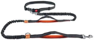 Image de Laisse pour chien - Cordon réfléchissant - pour chiens - jusqu'à 240 cm - pour chiens jusqu'à 110 kg - Orange