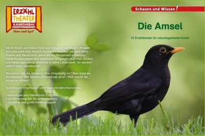Produktbild von Kamishibai: Die Amsel