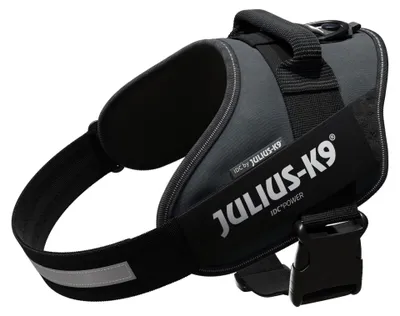 Imagen del producto de Arnés para perros Julius-K9, color antracita, talla: 1