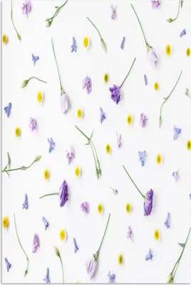 Produktbild von MuchoWow® Poster Blumen - Pastell - Vintage 120x180 cm - Kunstposter