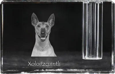 Image de Xoloitzcuintle - Porte-crayons, organiseur en cristal avec photo de chien, décoration de table unique de la marque Art-Dog