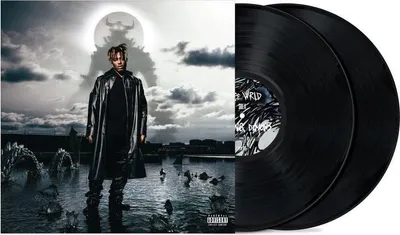 Image de Juice Wrld - Fighting Demons (2 LP)
