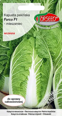 Produktbild von Forco F1 0.5g Chinakohl Samen - Torseed