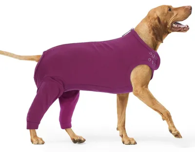Imagen del producto de Traje de recuperación para perros: protección postoperatoria para perros grandes